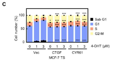 CCN1 (CYR61), CCN2 (CTGF) 과발현 세포에 타목시펜 처리 후 세포주기 분석
