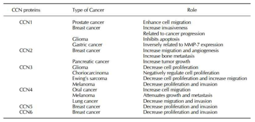 다양한 암종에서 CCN 단백질의 역할