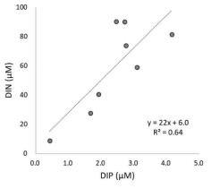 공극수 시료 중 DIP 농도 vs. DIN 농도(N:P ratio)