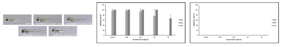 Developmental toxicity of C-phycocyanin during zebrafish embryo development. Zebrafish embryos were measured under a microscope for 72 hours to confirm the toxicity of C-phycocyanin