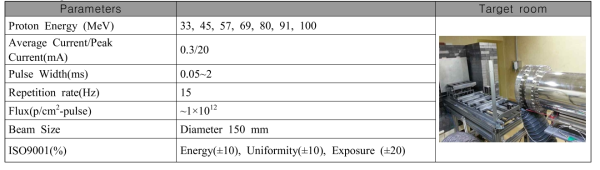 Specifications of the Irradiation Proton Beam Parameters in the Present Measurement