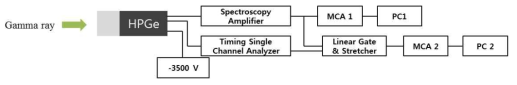 Block diagram for measuring delayed gamma rays generated after high-energy proton nuclear reaction