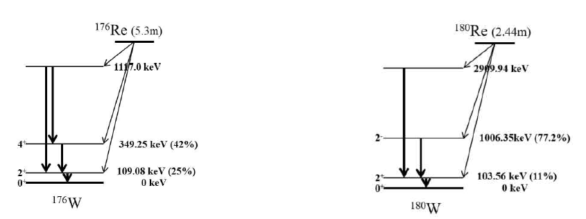 The degree of decay of the radioactive isotope of 176Re and 180Re are shown on the left and right, respectively