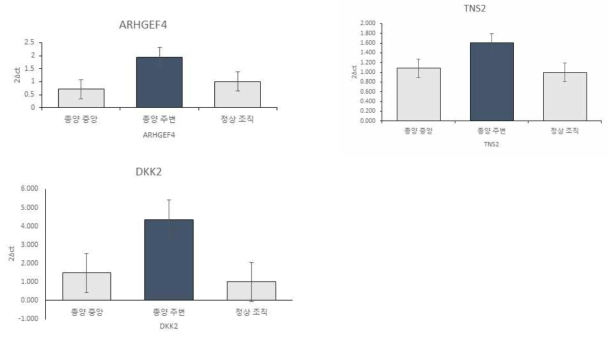 ARHGEF4, TNS2, DKK2 의 real time PCR 결과