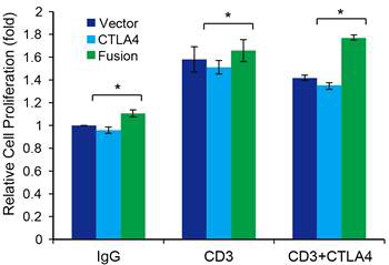 Jurkat 세포주에서 CTLA4 wild type과 CTLA4-CD28의 발현 후, 자극에 따른 증식을 비교