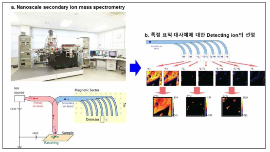 NanoSIMS를 이용한 MS Imaging