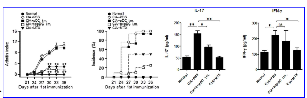 Collagen 유도 관절염 질환 마우스에서 관용성 형질세포양 수지상세포에 의한 임상학적 파라미터 분석과 혈중 내 염증성 사이토카인 분석