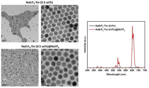 NIR-II 업컨버전 나노입자의 합성. (좌) NaErF4:Tm core 나노입자와 NaErF4:Tm@NaYF4 core@shell 나노입자의 TEM 이미지, (우) 1532 nm NIR-II 광원을 이용한 NaErF4:Tm core 나노입자와 NaErF4:Tm@NaYF4 core@shell 나노입자의 업컨버전 발광 스펙트럼 비교