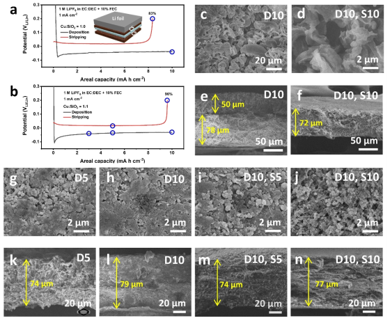 기공률 (a) 35% (CS0) 및 (b) 91% (CS1) 다공성 구조체의 리튬 전착/탈착 거동 그래프. 기공률 35% 다공성 구조체의 (c,d) 표면 및 (e,f) 단면, 기공률 91% (CS1) 다공성 구조체의 (g-j) 표면 및 (k-n) 단면의 주사전자현미경 사진. Da 는 a mA h/cm2 리튬 전착, DaSb는 a mA h/cm2 리튬 전착 후 b mA h/cm2 탈착을 의미함