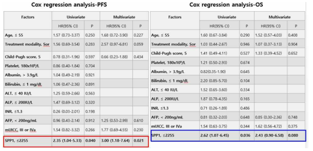 PFS 및 OS의 cox 분석