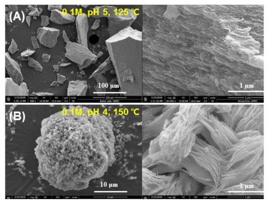 침전물의 형태에 따른 SEM 이미지. (A) 겔 형태, (B) 파우더 형태(보헤마이트 결정)
