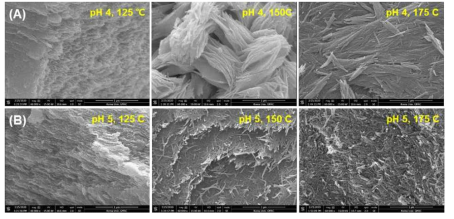 침전물의 형태에 따른 SEM 이미지. (A) 겔 형태, (B) 파우더 형태(보헤마이트 결정)