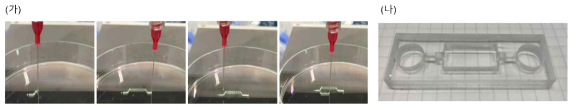 (가) 30 % pluronic F127을 평평한 dish위에 3D 프린터를 이용하여 프린팅함. (나) 마이크로 채널 제작에 사용할 PDMS 미세유체 칩. (Stereolithography 기술을 통해서 몰드를 제작하고, 몰드를 PDMS로 casting해서 미세유체 칩을 제작)