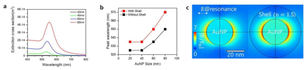 금 나노입자의 플라즈모닉 특성 시뮬레이션. (a) 금 나노입자의 직경에 따른 소광값(extinction cross section) 및 (b) 껍질(굴절률 n=1.5, 두께 10 nm)이 있는 경우와 비교. (c) 전기장증폭