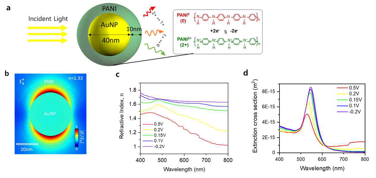 표면에 PANI가 형성된 금 나노입자의 전기광학적 시뮬레이션. (a) PANI 가 코팅되어 있는 금 나노입자의 개략도. (b) 플라즈모닉 효과로 인해 나노입자 근처에서 증폭된 전기장의 분포. (c) PANI의 산화환원반응에 따른 굴절률 변화 및 (d) 이에 따른 Extinction 특성 변화