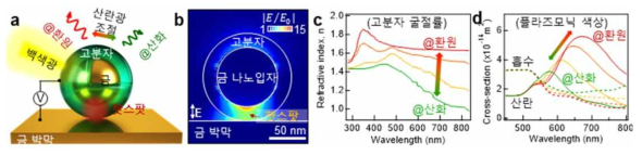 전기변색 플라즈모닉 나노픽셀의 구조 및 전기광학적 특성 (a) PANI 코팅된 금 나노입자 기반 나노픽셀의 구조, (b) 소자에 외부 광이 입사된 경우에 대한 전기장 시뮬레이션 결과. 전압 주입에 따른 (c) PANI 굴절률 변화 경향성 및 (d) 외부 광원에 대한 플라즈모닉 색상변화