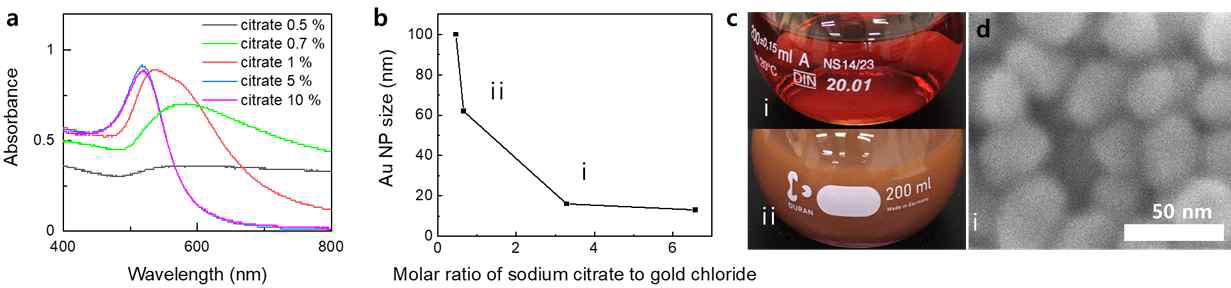 (a) 다른 농도의 citrate로 합성된 금 나노입자의 UV-Vis 스펙트로미터 분석 (b) Citrate와 금의 몰농도 비율에 따른 금 나노입자의 크기. (c) 합성된 서로 다른 크기의 금 나노입자 (d) 40~60 nm 크기의 금 나노입자 SEM 이미지