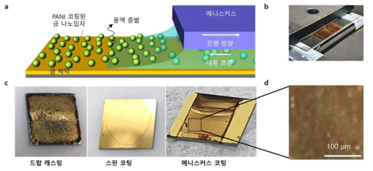 (a) 메니스커스 기반 코팅 공정의 개략도 및 (b) motorized stage를 이용한 실제 메니스커스 코팅 공정. (c) 드롭 캐스팅(왼쪽), 스핀 코팅(중간), 메니스커스 코팅(오른쪽) 방식을 이용하여 금 박막 상부에 PANI코팅된 금 나노입자를 증착한 결과 비교 이미지. (d) 드롭 캐스팅(위), 메니스커스 코팅(아래) 방식으로 형성된 금 기판 상부 PANI 코팅된 금 나노입자의 분산 정도 비교 이미지