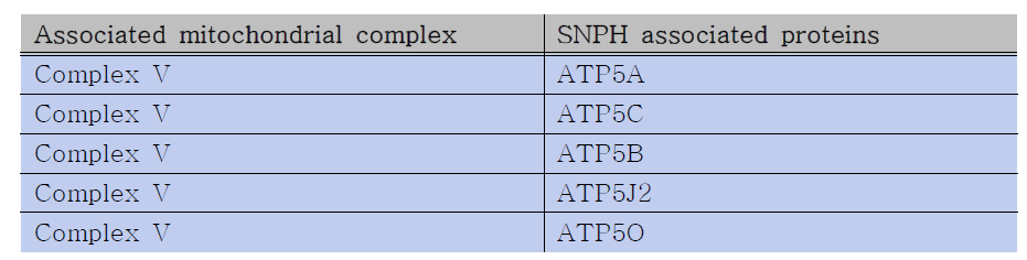 SNPH-associated proteins