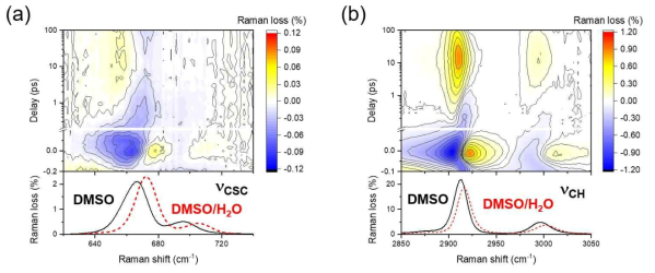 AAQ의 들뜬상태 전하이동에 의한 DMSO의 νCSC와 νCH 진동모드에서 관찰한 펨토초 유도라만 감소 스펙트럼의 변화와 DMSO 용매(검은색) 및 DMSO/물 혼합용매(빨간색)와의 진동스펙트럼 비교