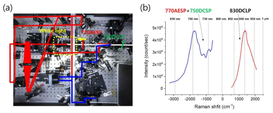 (a) 펨토초 유도라만 분광 장치와 (b) 유도라만 증가/감소 스펙트럼 및 측정에 사용한 라만 프로브
