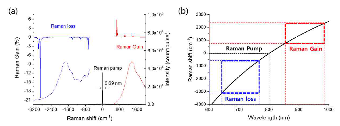 (a) 펨토초 유도라만 증강/감소 분광법으로 측정한 DMSO의 진동모드 스펙트럼과 (b) 측정 가능한 범위 계산