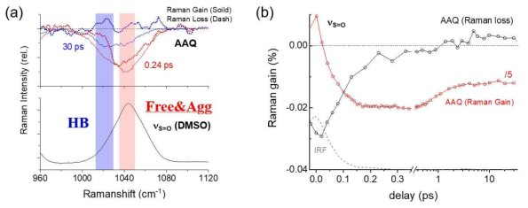 AAQ의 들뜬상태 전하이동에 의한 DMSO의 νS=O 진동모드에서 관찰한 펨토초 유도라만 증강/감소 (a) 스펙트럼의 변화와 (b) “수소결합형” 서브밴드의 kinetics 비교