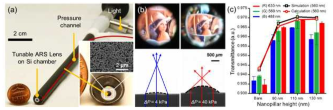 (a) 생체모사 초소형 유압식 가변초점 내시경 카메라 제작, (b) 압력에 따른 가변 줌 영상 획득, (c) 무반사 유연막을 통한 최대 투과율 획득