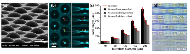 (a) 단일구조 다층 포토리소그래피 기법을 통해 제작한 다초점 마이크로렌즈의 SEM 이미지, (b) 서로 다른 세 개의 초점거리를 갖는 다초점 마이크로렌즈의 공초점 주사 현미경 (Confocal Laser Scanning Microscope, CLSM) 영상, (c) 직경에 따른 다초점 마이 크로렌즈의 초점 거리 분포, (d) 제작된 마이크로렌즈로부터 획득한 다초점 영상