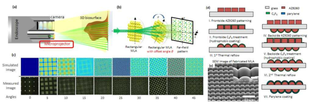 (a) 구조광/조명 프로젝터를 갖는 3차원 내시경. (b) 회전오프셋 마이크로렌즈 어레이 (roMLAs)의 작동 원리. (c) roMLAs 의 회전오프셋 각도에 따른 회절패턴 시뮬레이션 및 측정 결과. (d) roMLAs 소자 제작 공정도 (e) 제작완료된 roMLAs 소자의 전자현미경 사진