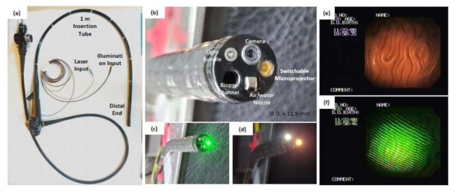 (a) 마이크로프로젝터를 삽입하여 제작된 3차원 연성내시경 시작품과 (b) 완전 방수 패키징된 내시경의 distal end. (c, d) 내시경 distal end의 구조광/조명 스위칭 결과 (e, f) 조명/구조광 스위칭을 이용한 시작품의 획득 영상