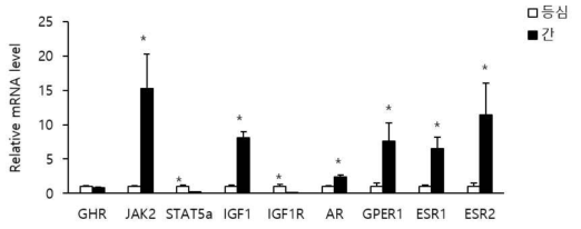 거세우 등심과 간에서 GH-STAT5-IGF1 신호전달 기전 관련 유전자 발현 비교 GHR=Growth hormone receptor; JAK2=Janus kinase 2; STAT5a=Signal transducer and activator of transcription 5a; IGF1=Insulin like growth factor 1; IGF1R=Insulin like growth factor 1 receptor; AR=Androgen receptor; GPER1=G-protein coupled estrogen receptor 1; ESR1=estrogen receptor 1;ESR2=Estrogen receptor 2. * P<0.05