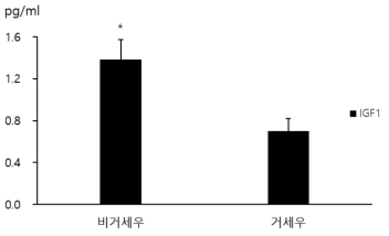 거세우와 비거세우의 혈중 IGF1 농도 비교 * P<0.05
