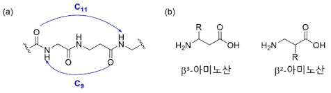 (a) 11/9-나선구조의 수소 결합 패턴; (b) 비고리형 β-아미노산