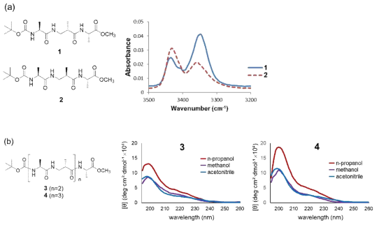 (a) tripeptide 1과 2의 구조 및 Amide A region IR 스펙트럼; (b) pentapeptide 3과 heptapeptide 4 및 CD 스펙트럼