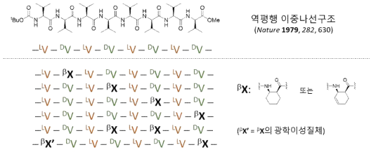 고리형 β-아미노산을 도입한 DL-펩타이드 합성 계획
