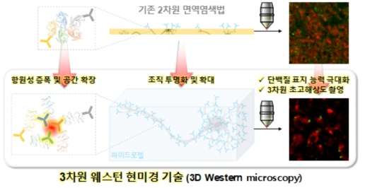 3차원 웨스턴 현미경 기술 개발