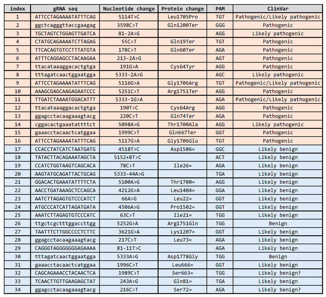 다양한 환자유래 BRCA1 변이에 대한 기능분석 리스트 (PAM 변이 포함)