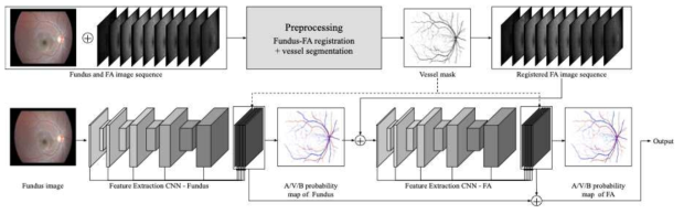 안저영상-FA 입력 통합 직렬 CNN의 구조도. 기 개발 전처리 기법으로 도출된 입력 영상 정합 및 혈관 영역 기반으로 전단계에서 안저영상, 후단계에서 FA를 입력으로 함