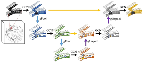 안저영상-FA 내 동정맥의 전체적 구조 학습을 위해 계층적 GNN인 graph U-net 기법을 적용한 과정을 보여주는 개념도