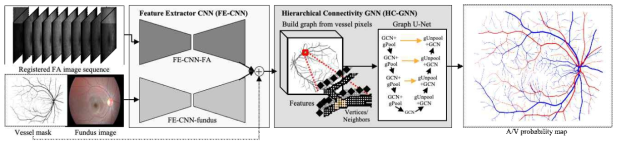 안저영상-FA 통합 CNN과 계층적인 GNN 전체를 통합한 전체 개발 기법, 계층적 혈관 그래프 네트워크(Hierarchical Vessel Graph Network, HVGN) 기법[2]의 구조도