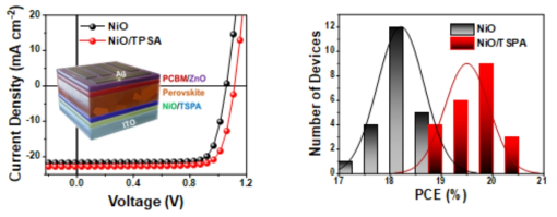 NiOx 및 NiO/TSPA 기반 소자의 J-V 곡선