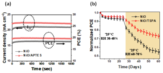 NiOx 및 NiO/TSPA 기반 페로브스카이트 태양전지 소자의 정상상태 성능 및 대기 중 안정성 평가 결과