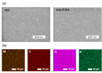 NiO 및 NIO/TSPA 박막의 SEM및 EDS 매핑 이미지
