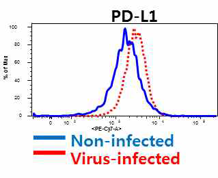 감염에 의한 PD-L1 발현 변화