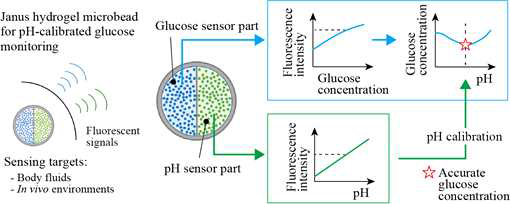 pH와 글루코스 동시 측정 플랫폼과 이를 활용한 보정법