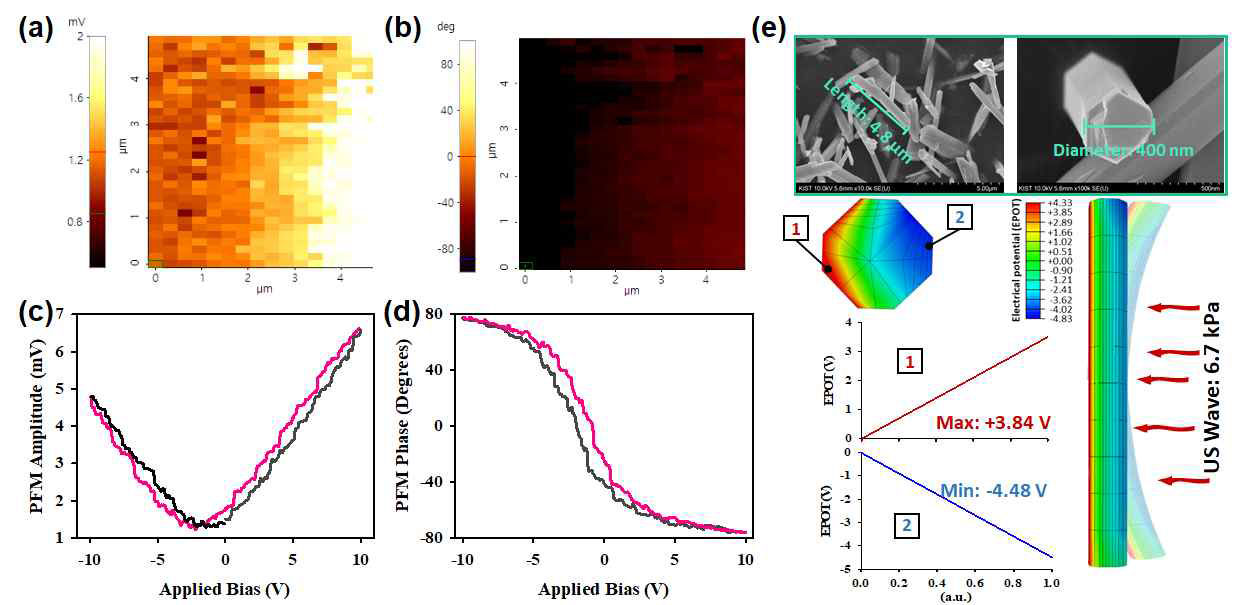 BFO 매질의 single domain에 관한 Piezoresponse force microscopy (PFM) micrograph 진폭변화(a), 위상변화(b) 분석결과 및 진폭-전압 나비모양 루프(c)그래프와 위상 전압 이력 루프(d) 분석결과 그래프. BFO 매질의 FESEM 이미지와 FEM 시뮬레이션에 의한 EPOT 결과(지름 400nm, 길이 4.8mm, 6.7 kPa 압력기준)