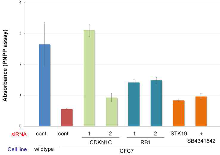 CDKN1C 및 RB1 유전자 knockdown에 의한 CFC MSC 조골분화능 회복
