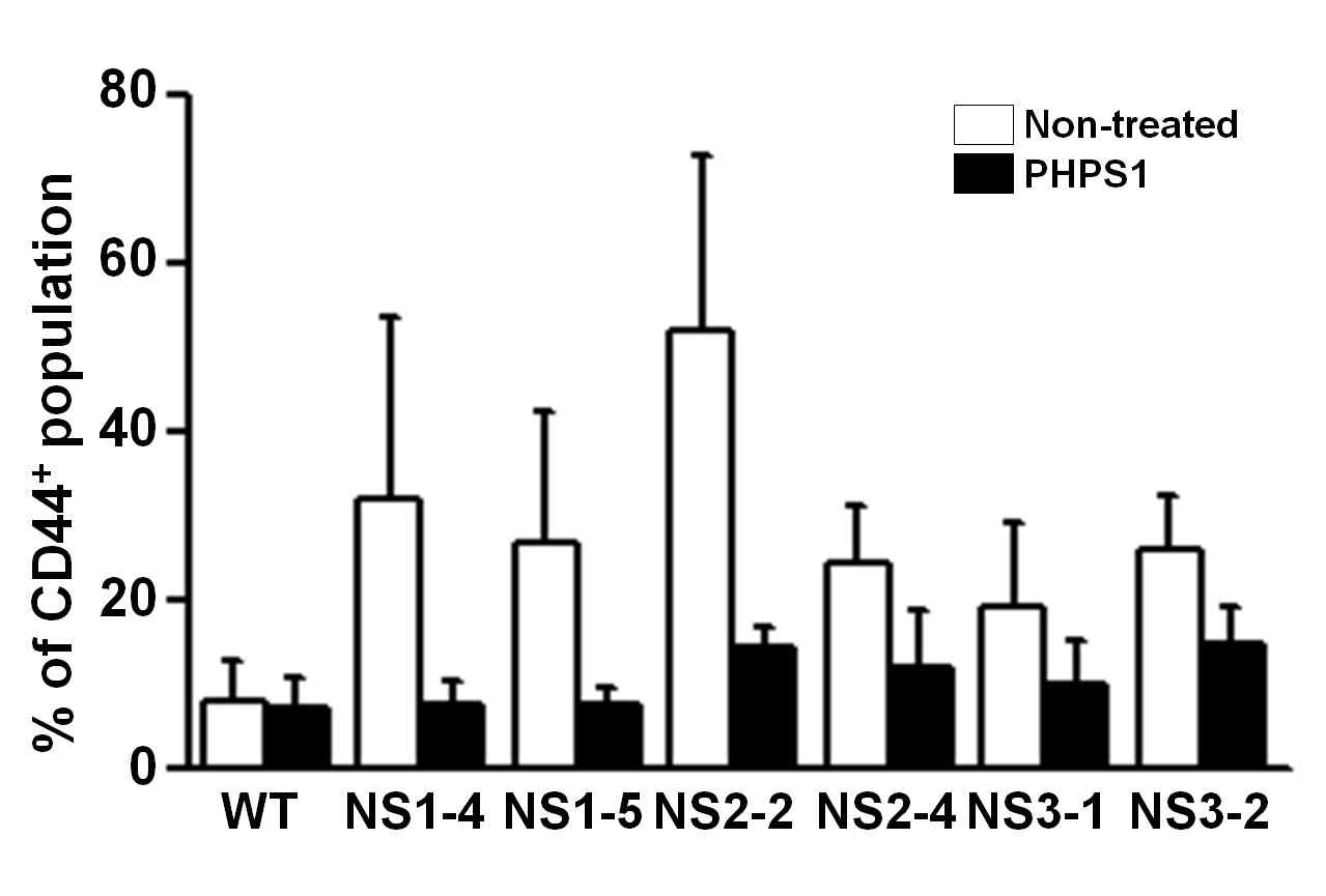 누난 증후군 환자 유래 신경계 세포에서 SHP2 억제제 처리에 의한 CD44 표면마커 비율 감소