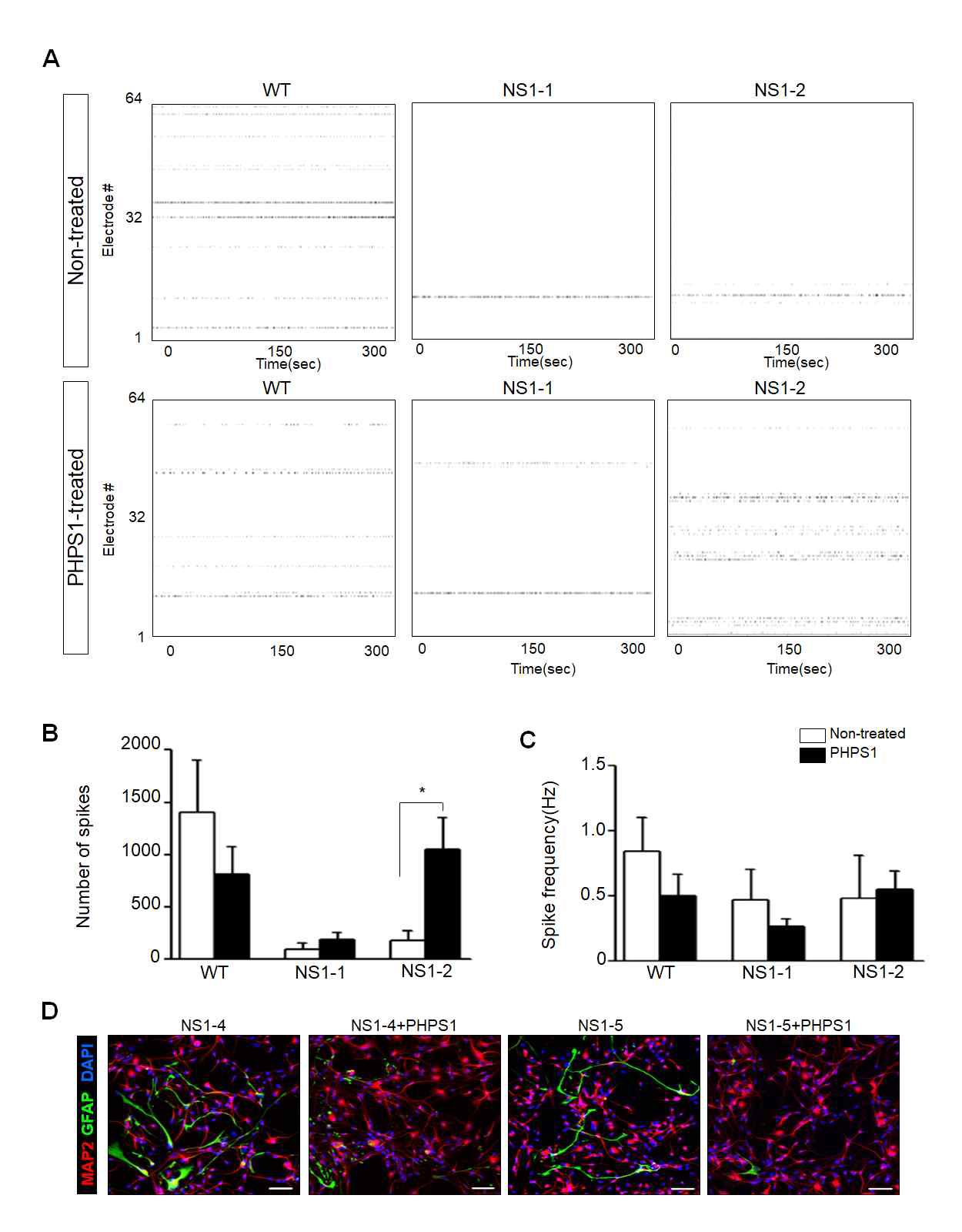 SHP2 억제제 처리에 의한 누난 증후군 환자 유래 신경계 세포의 세포 외 활성 감소의 부분적 향상